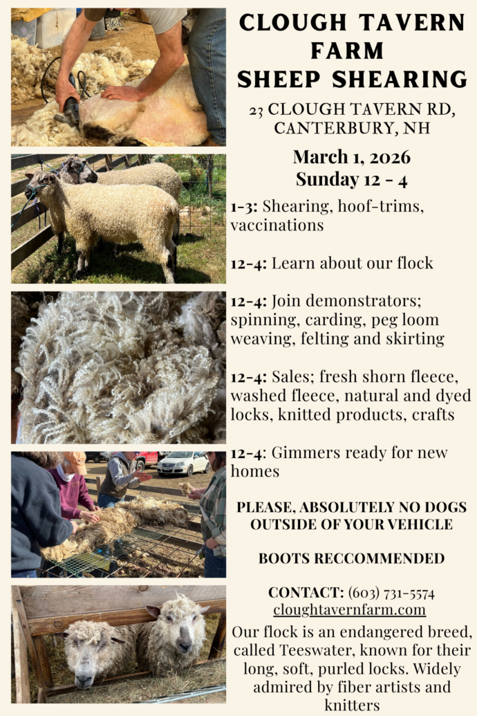 2026 Sheep Shearing Event